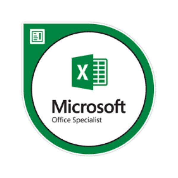 MO-200_ Microsoft Excel (Office 2019)